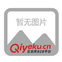 深圳茂藝來供應(yīng)抱枕、頸枕、抱枕被等(圖)